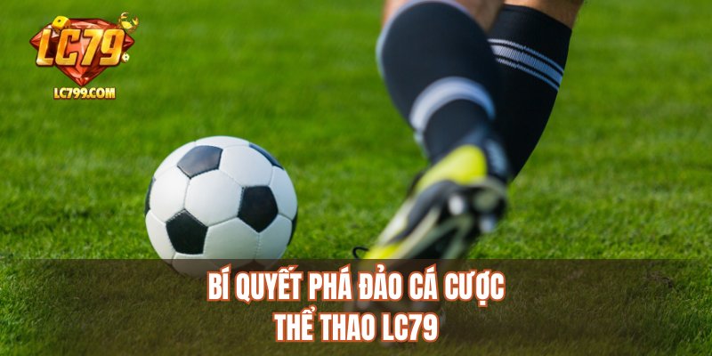 Bí quyết phá đảo cá cược thể thao LC79