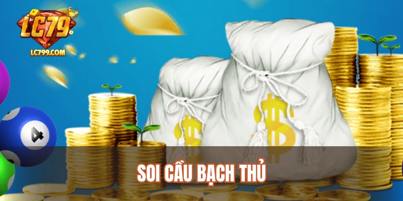 soi-cau-bach-thu
